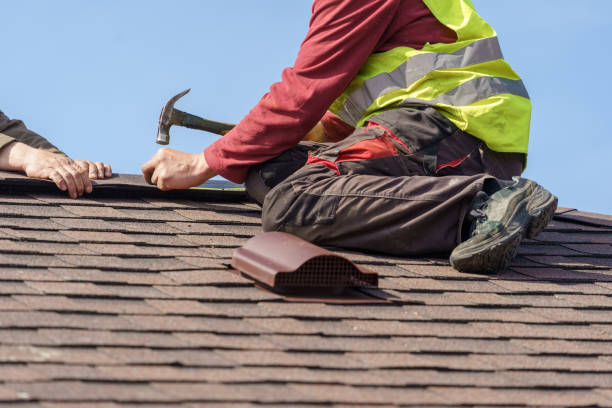 Best Gutter Installation and Roofing  in Carrizo Hill, TX