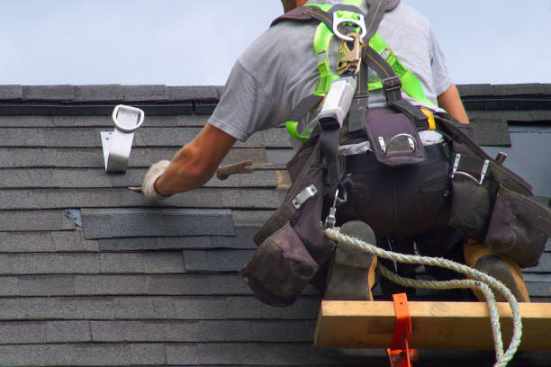 Best Local Roofing Companies  in Carrizo Hill, TX