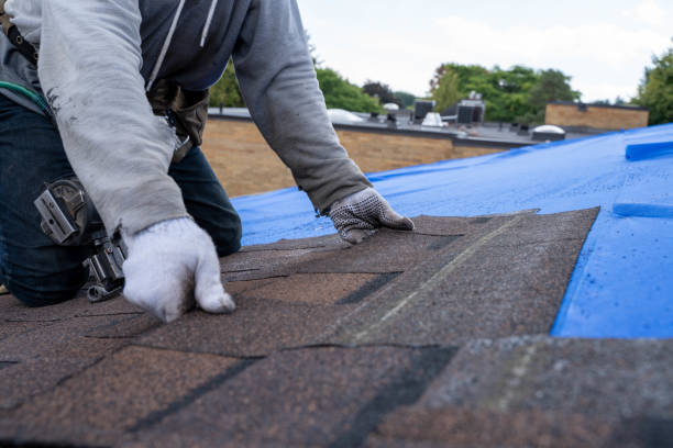 Quick and Trustworthy Emergency Roof Repair Services in Carrizo Hill, TX