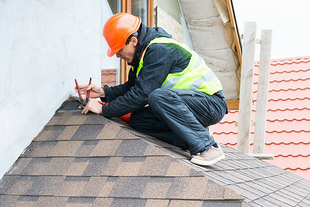 Best Metal Roofing Contractor  in Carrizo Hill, TX