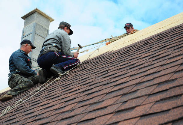 Best Best Roofing Contractors  in Carrizo Hill, TX