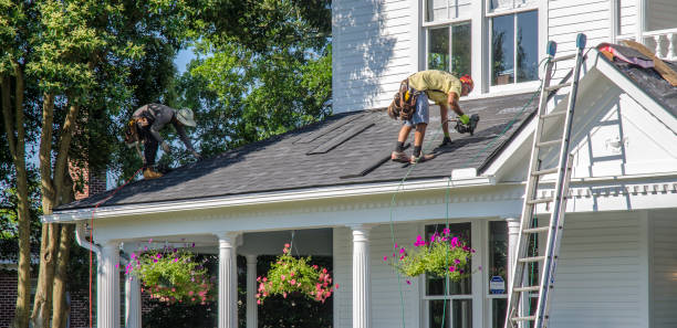 Best Roof Gutter Cleaning  in Carrizo Hill, TX